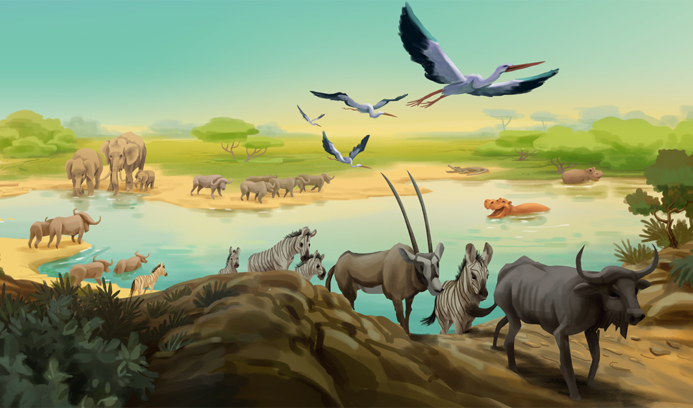 Community illustration